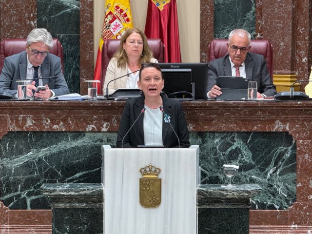 El PP tumba la iniciativa de Podemos-IU-AV para ampliar los beneficios de familia numerosa a hogares con dos hijos