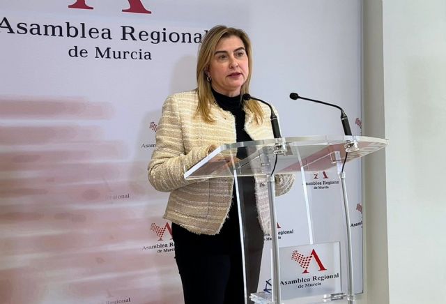 El PSOE exige al Gobierno de López Miras que tome medidas de forma urgente e inmediata para aumentar el número de bomberos y dotar al CEIS de más medios