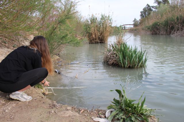 La CHS invierte más de 203.000 euros en el estudio de la población de peces y la eutrofización en embalses de la demarcación del Segura