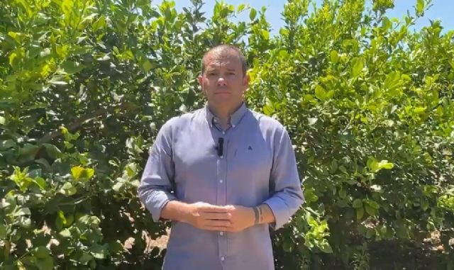 Fernando Moreno: 'El Gobierno de López Miras vuelve a llegar tarde ante la amenaza del virus de la clorosis nervial amarilla para los cítricos'