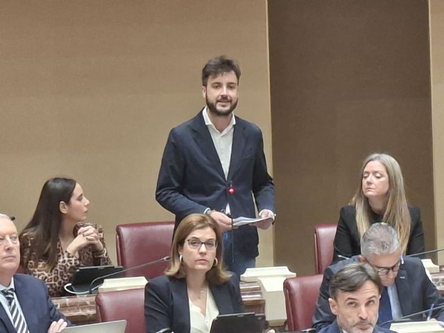 Landáburu: 'La pinza PSOE-Vox sabotea el futuro de los jóvenes con su bloqueo a las políticas de vivienda asequible del Gobierno regional'
