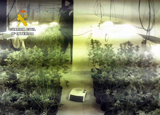 La Guardia Civil desmantela en Mazarrón un grupo delictivo que cultivaba y distribuía grandes cantidades de marihuana