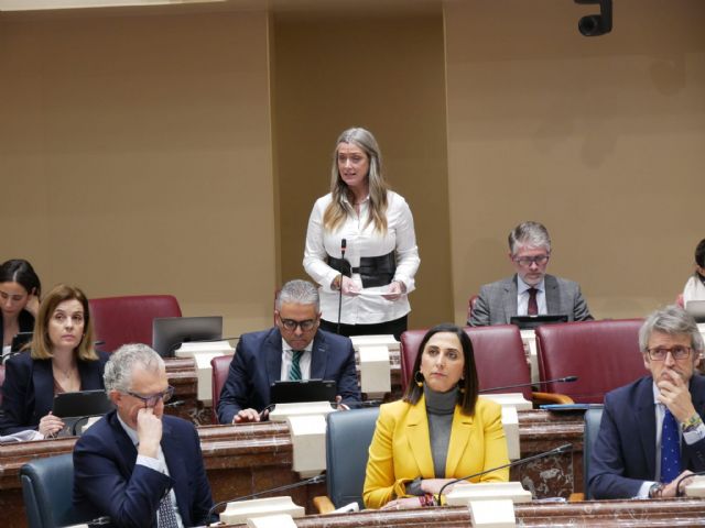 Casajús: 'El PSOE falta a la verdad sobre los puntos de recarga y retira su propia moción tras quedar en evidencia'