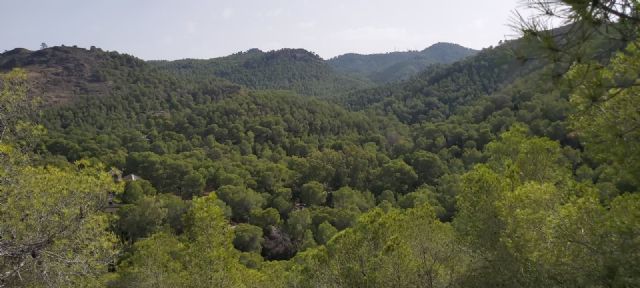 Reprochan al Consejero de Medio Ambiente faltar a la verdad sobre la Protección del Parque Regional de El Valle y Carrascoy
