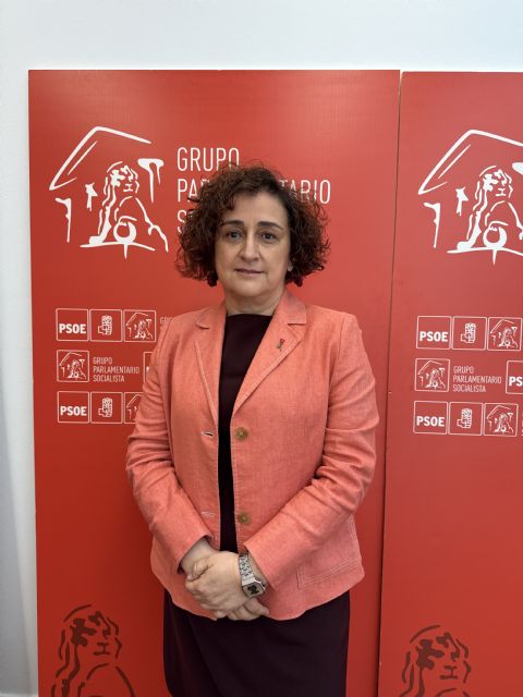 Caridad Rives: 'Frente al abandono de López Miras, el Gobierno de Espa&ntilde;a destina 368 millones a la climatización de colegios y edificios públicos'
