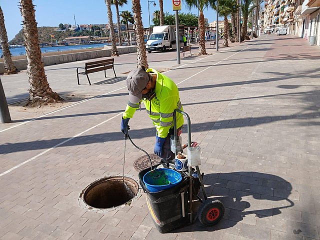 Mazarrón intensifica los trabajos de control de plagas con la Tercera Campaña Anual contra roedores, cucarachas y mosquitos