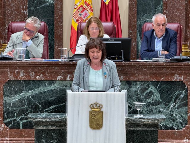 Podemos-IU denuncia que el PP y los tránsfugas de Vox han aprobado una ley del Mar Menor 'a la medida de los señores del agronegocio'