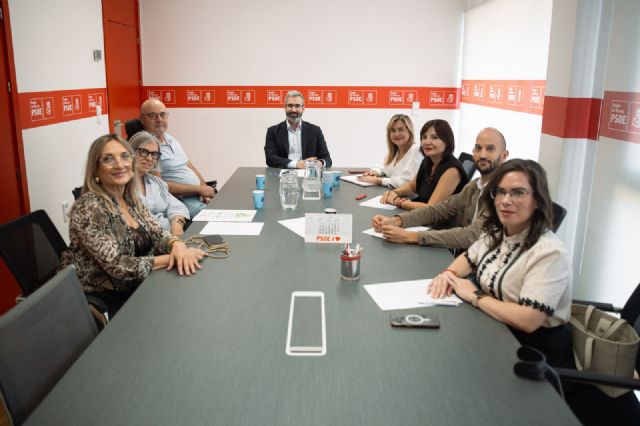 El PSOE apoyará la proposición de ley sobre los grados de dependencia y discapacidad, y las exenciones económicas para poder eliminar los copagos a enfermos de ELA