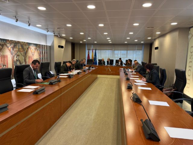 Podemos-IU-AV logra el apoyo de la Asamblea para modificar la ley que deja fuera del Ejército a miles de soldados a los 45 a&ntilde;os