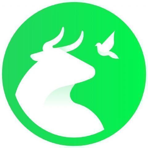 PACMA se suma a la Jornada Mundial por el Fin de la Pesca y alerta del agravamiento de la crisis oceánica en 2026