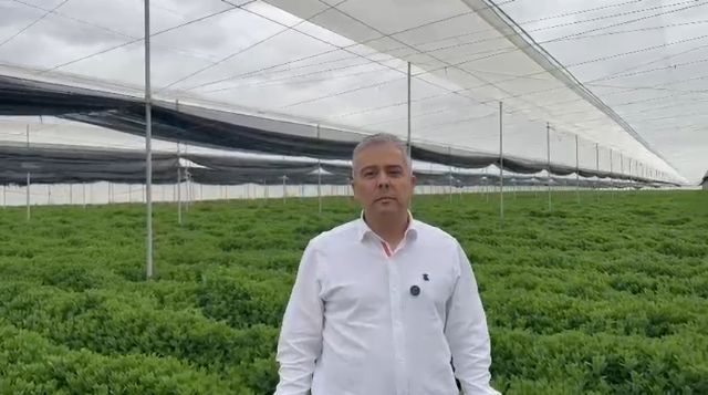 Cano: 'Es vergonzoso que Sánchez se ensa&ntilde;e otra vez con el campo al denegar el uso 'excepcional' del Movento para luchar contra la plaga del pulgón