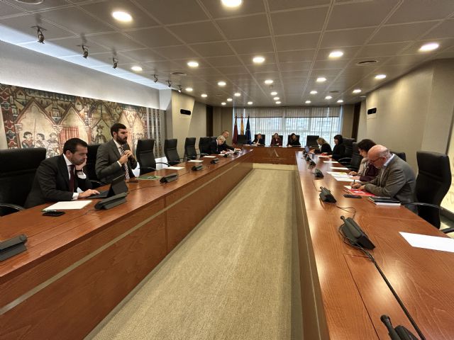 La Comisión Especial de Estudio sobre Infancia y Adolescencia retoma sus trabajos la próxima semana