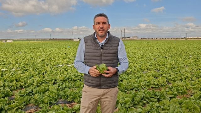 El PP presionará en las Cortes para que los agricultores puedan usar 'temporalmente' el Movento para frenar la extendida plaga del pulgón