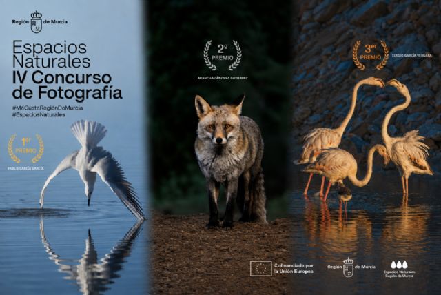 La fauna de la Región protagoniza las fotografías ganadoras de la cuarta edición del concurso #MeGustaRegiónDeMurcia