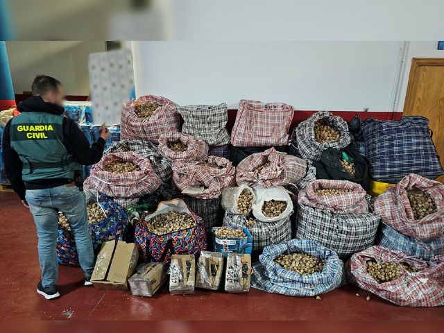 Tres detenidos por robar y enviar adormidera a Espa&ntilde;a y Estados Unidos