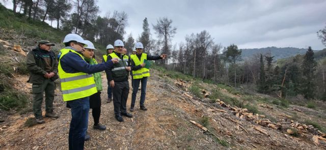 El Gobierno regional impulsa en 2026 la mayor inversión forestal de su historia para frenar el decaimiento y prevenir incendios