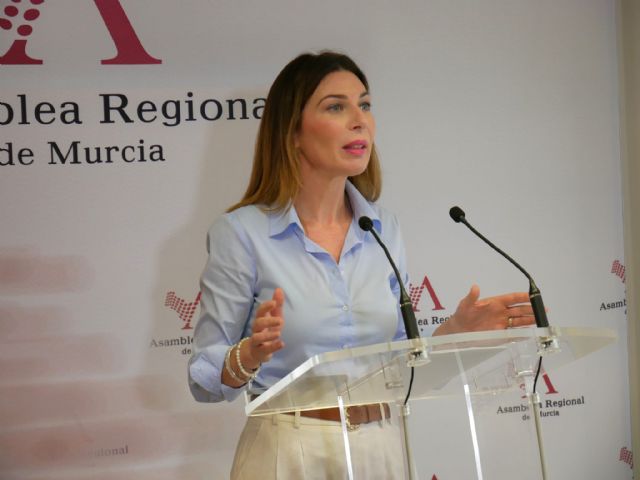 Ruiz Jódar: 'Lo verdaderamente importante es que no hay pacientes afectados ni prótesis caducadas implantadas'