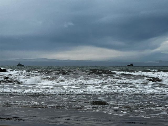 ANSE muestra su preocupación por el varamiento de cuatro zifios de Cuvier coincidiendo con unas maniobras de la Armada