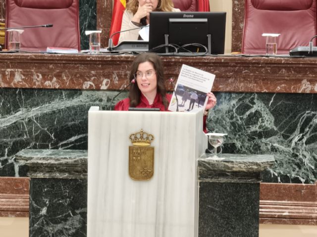 El PSOE saca adelante una moción que obliga al Gobierno regional a reducir a 90 días el plazo para el reconocimiento de la dependencia a menores de 3 a&ntilde;os y mayores de 90