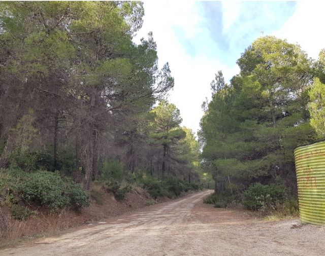 Medio Ambiente concluye la restauración forestal de la Sierra de Lavia con una inversión superior a 565.000 euros