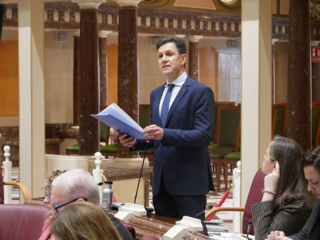Cerón: 'El PSOE, en vez de exigir a su jefe Sánchez más medios para frena la entrada de inmigrantes, sigue con su circo en los parques de bomberos para desviar la atención'