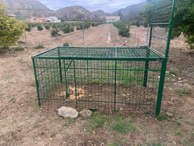 Medio Ambiente refuerza el control del jabalí en zonas sensibles tras la adquisición de ocho jaulas trampa homologadas