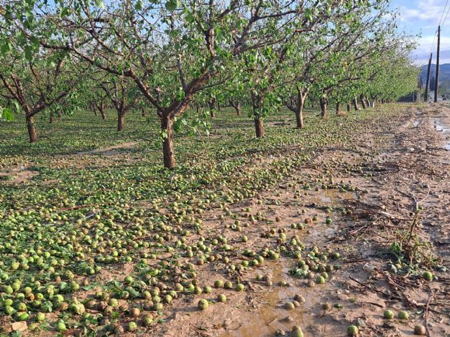 UPA exige el incremento de la subvención a la contratación de los seguros agrarios para jóvenes agricultores y ganaderos
