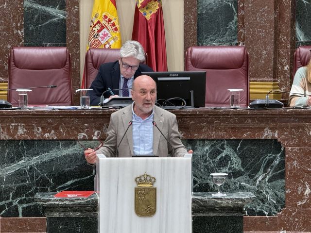 IU-Verdes denuncia en la Asamblea Regional el colapso en la valoración de la dependencia y reclama reforzar la atención al alzhéimer