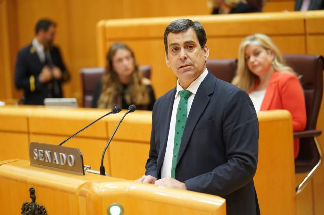 El PP exige la dimisión de Francisco Lucas por sus cambios de versión sobre la reapertura de la línea ferroviaria por Chinchilla