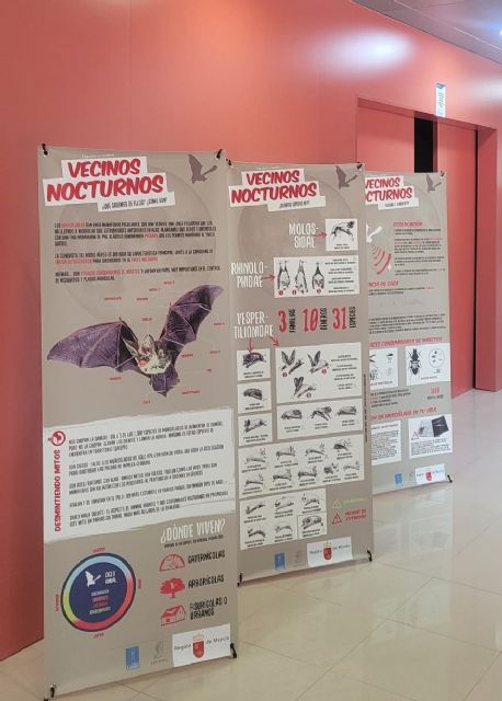 Medio Ambiente propone nuevas experiencias en la 'Mochila de actividades' para descubrir los espacios naturales este fin de semana